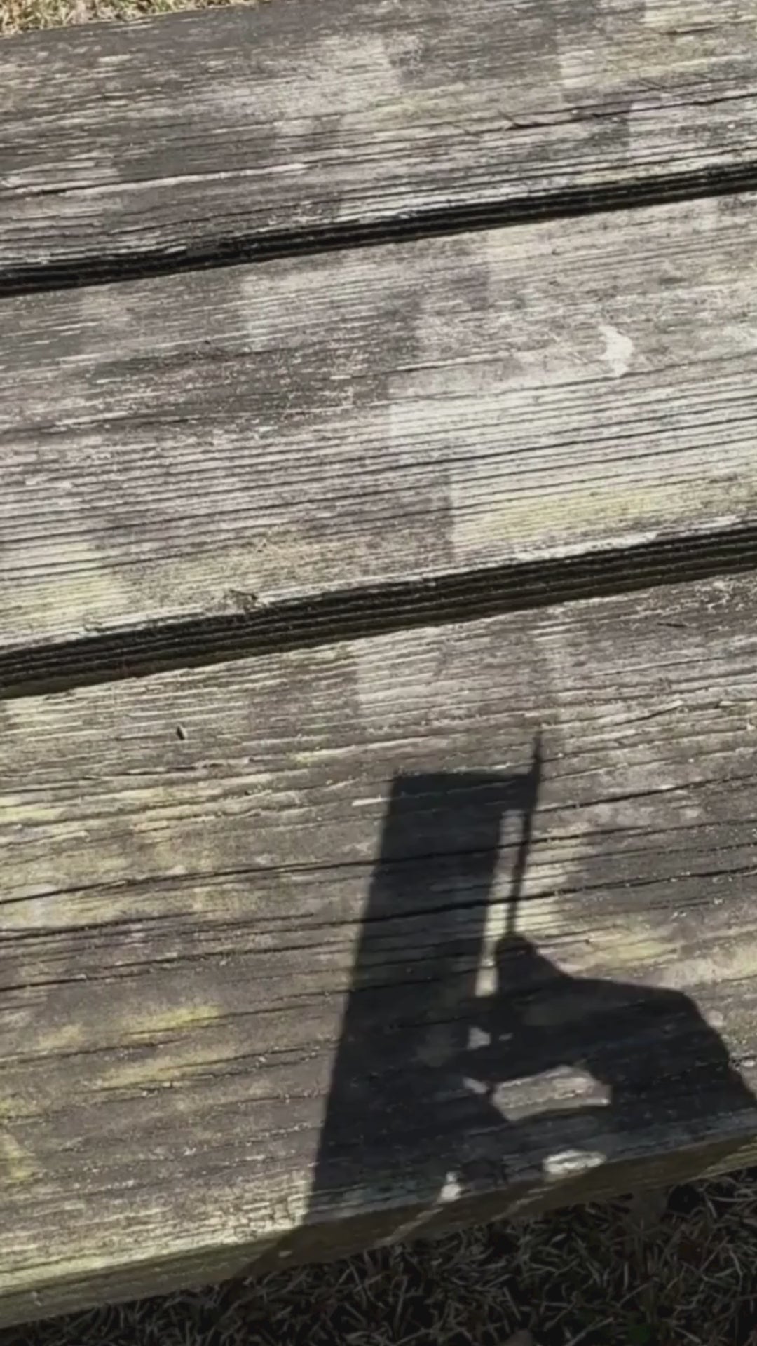 Pull start Fire grill being set up and lit before grilling various meats and vegetables.